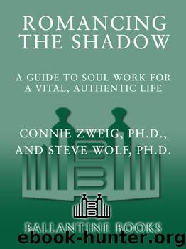 Romancing the Shadow by Connie Zweig Steve Wolf
